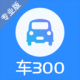 车300专业版