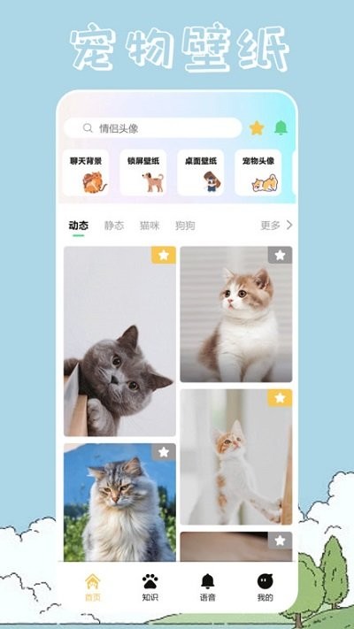 桌面宠物壁纸app