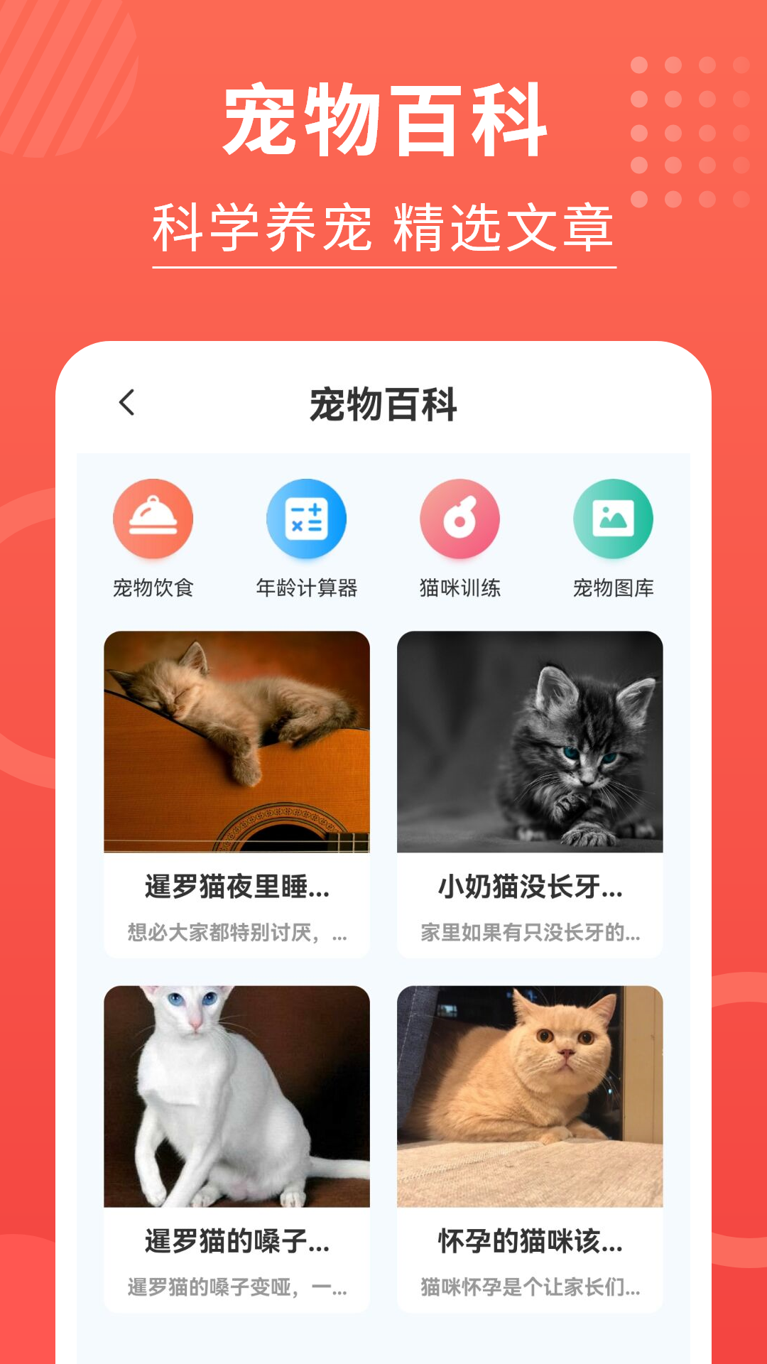 猫翻译app