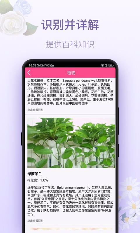 拍照识花神器app