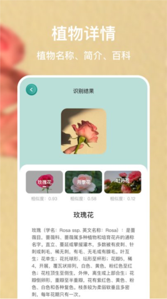 花之灵app