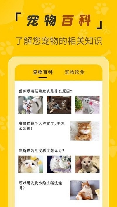 人猫翻译机app