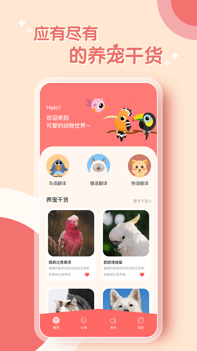 鹦鹉翻译器app