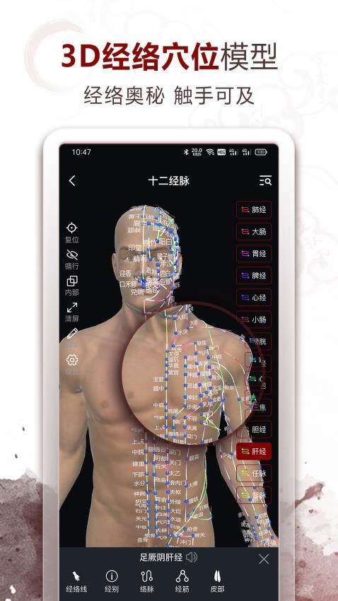 中医经络穴位app